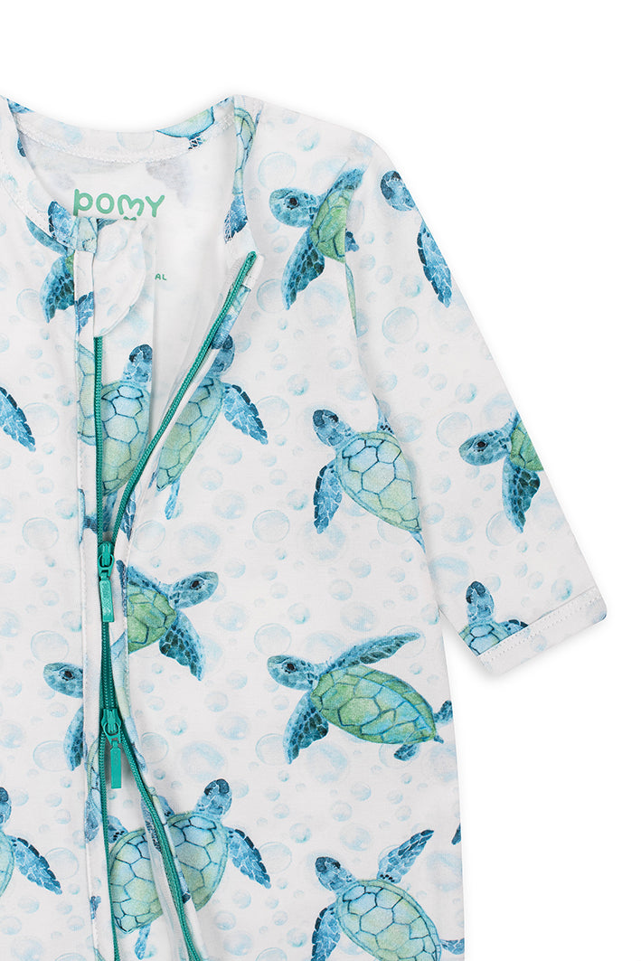 Tortue chatouilleuse