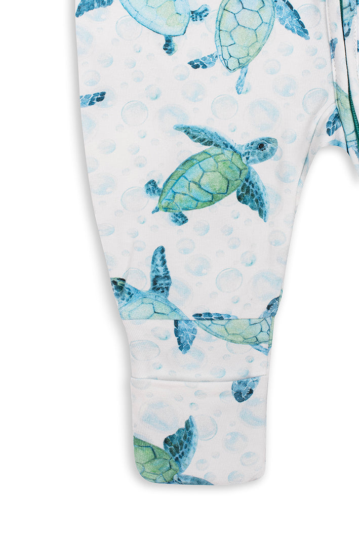 Tortue chatouilleuse